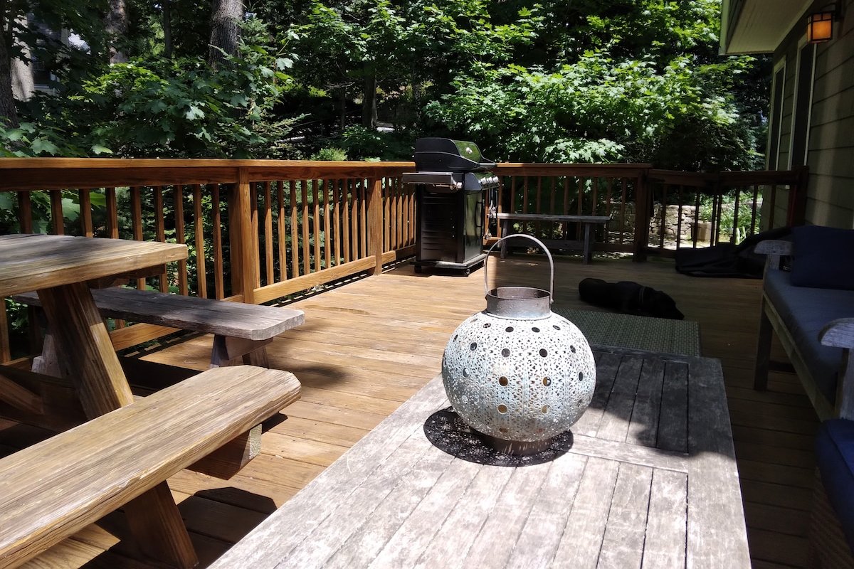 Large, sunny hilltop home, nature lovers’ paradise gallery image 4