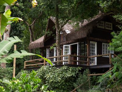 Rainforest Paradise 2