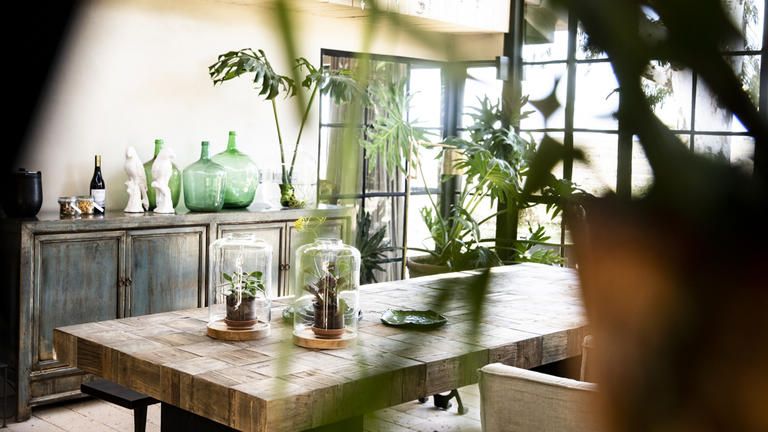 Segera Retreat Segera Greenhouse