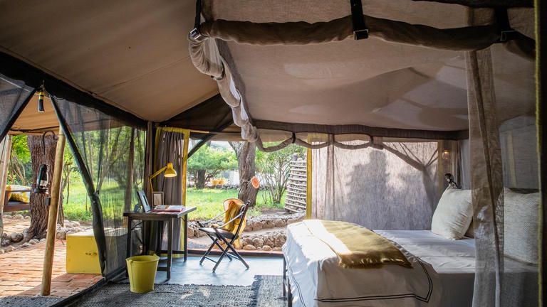 Forest Chem Chem, Auberge Safari Forest Chem Chem Camp