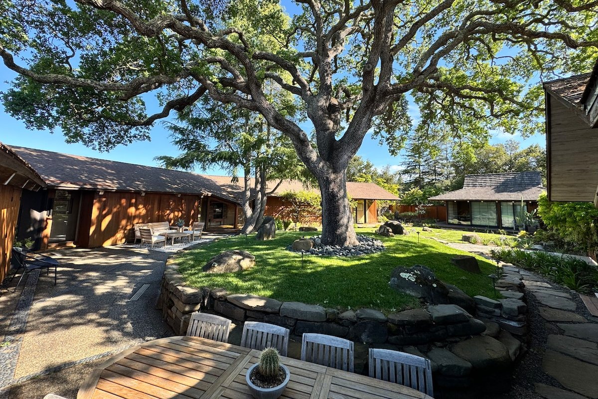 Best Views Mid-Century Gem 10m from Stanford gallery image 4