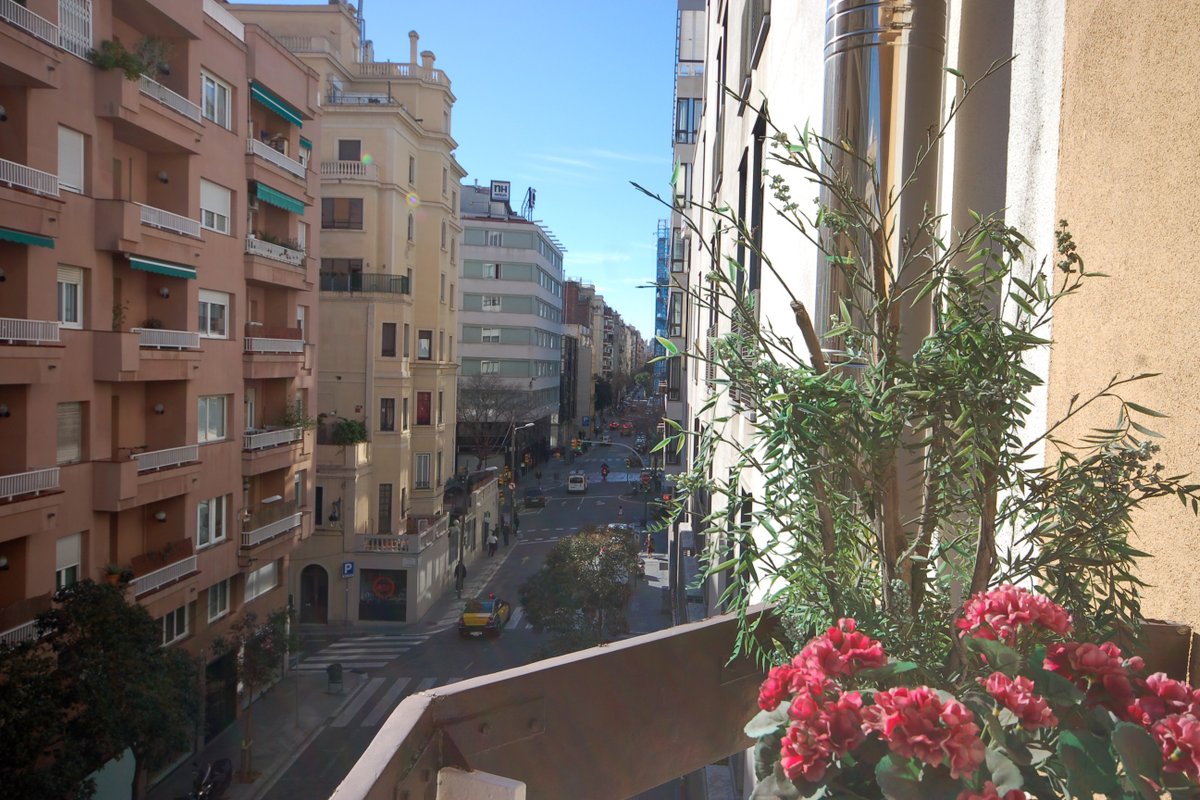 Centric apartment in Barcelona