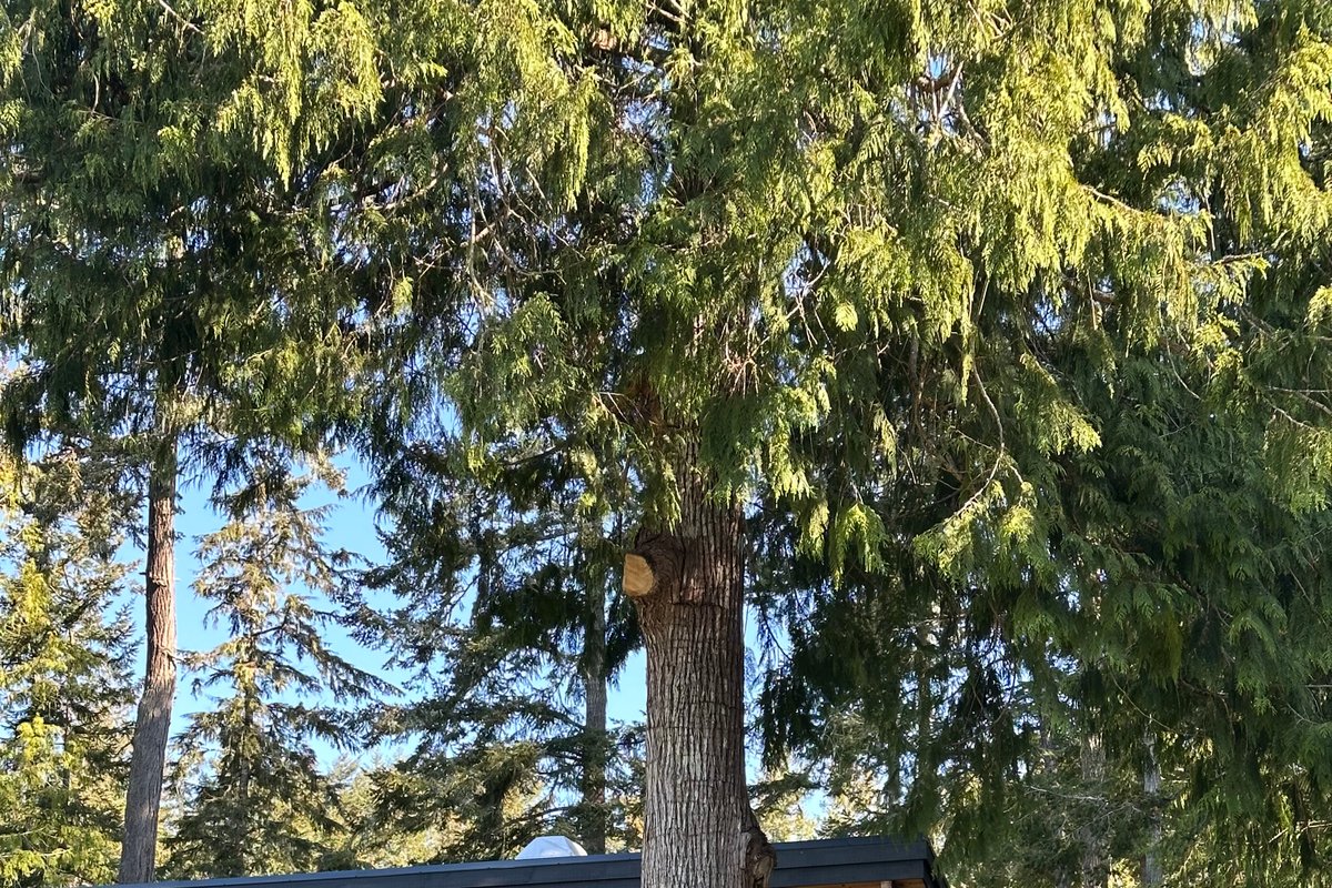 “La Finca” | Home in Shirley