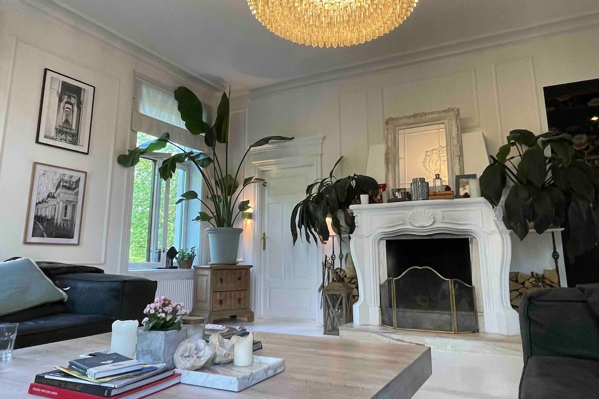 Exclusive historic big 150m2 parkfront in the city gallery image 4