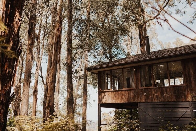 Forest Retreat gallery image 2