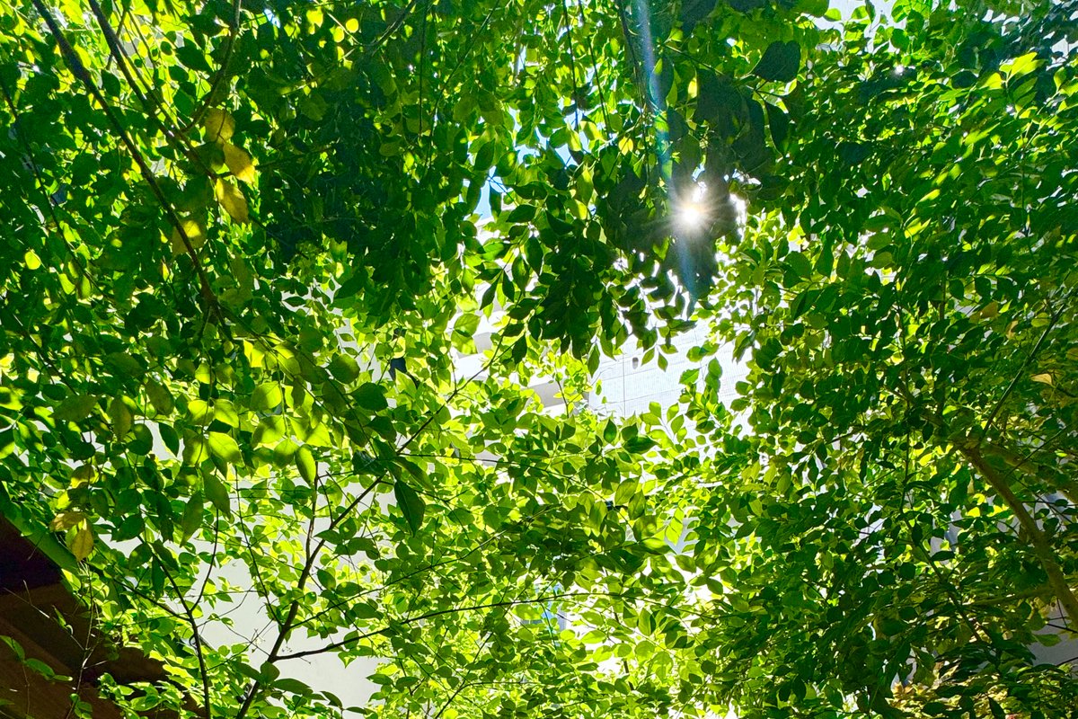 【2棟プライベート貸切！】庭付き 建物総面積約130㎡ 最大8名！駅近 畳 床暖房、Wi-Fi完備