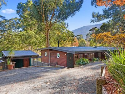 Alpine Views in Warburton