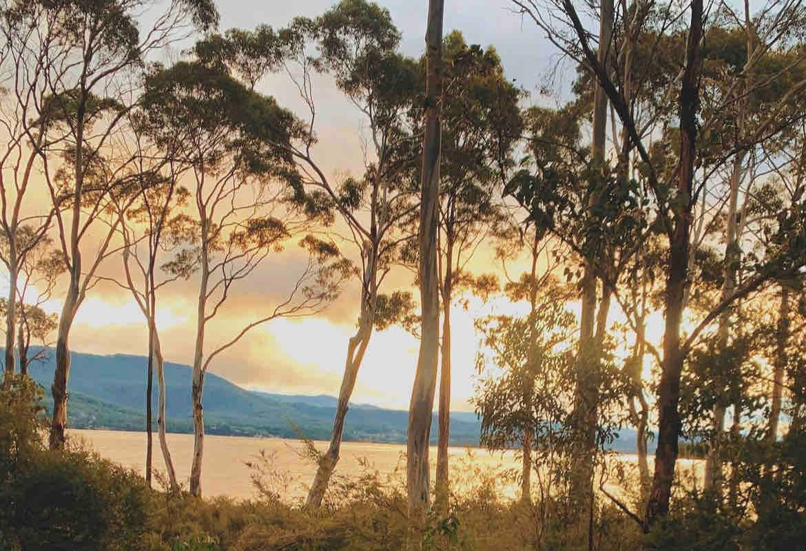 Blueberry Bay Cottage gallery image 3