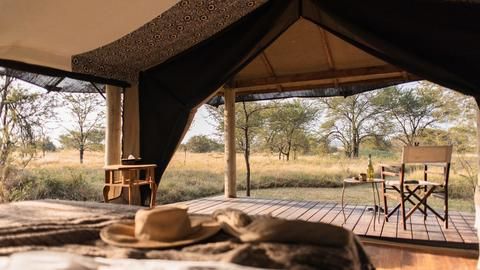 Lamai Client Tent - interior