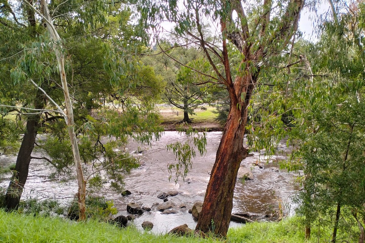 Riverside Retreat – Yarra River & Mt Donna Buang gallery image 5