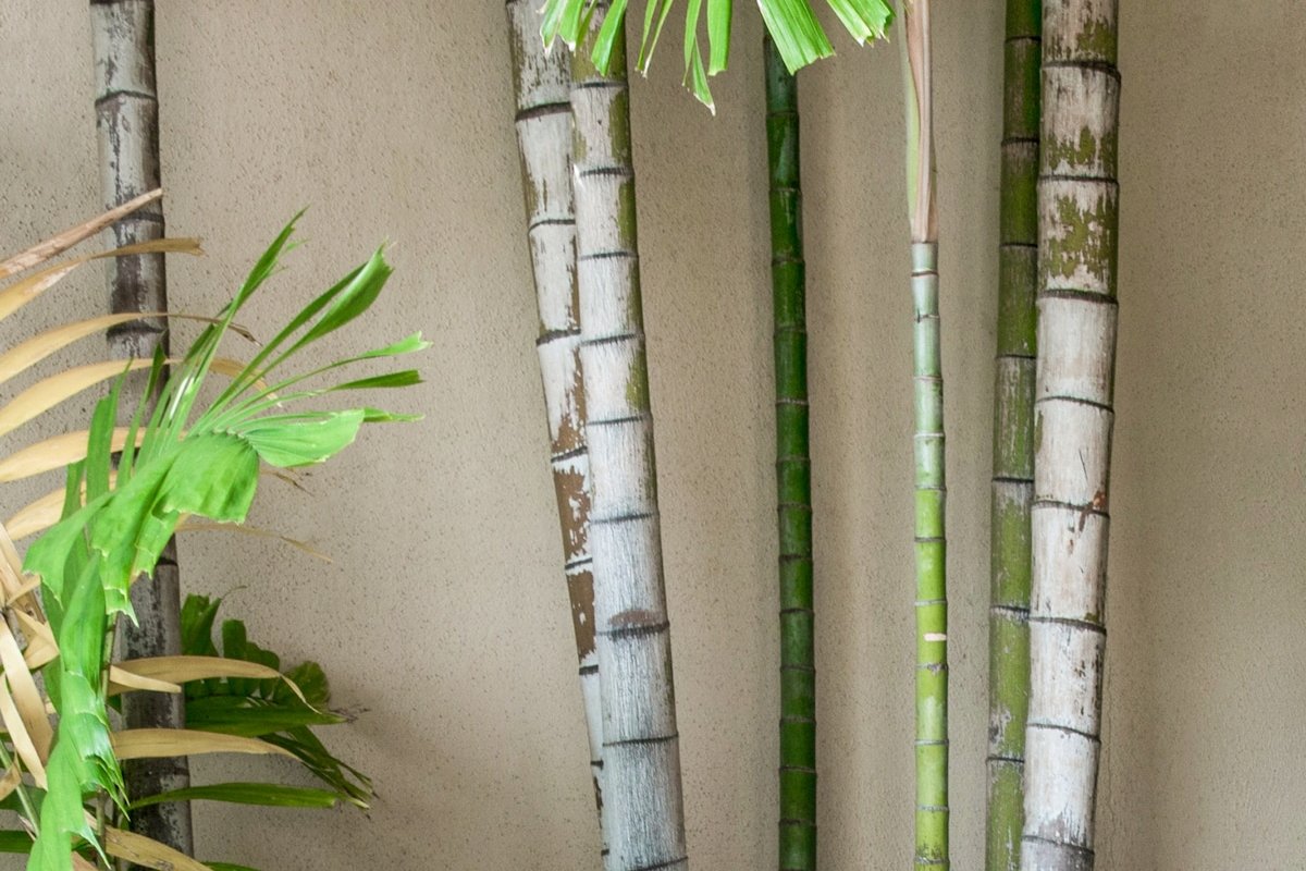 Hale Makena Maui gallery image 2