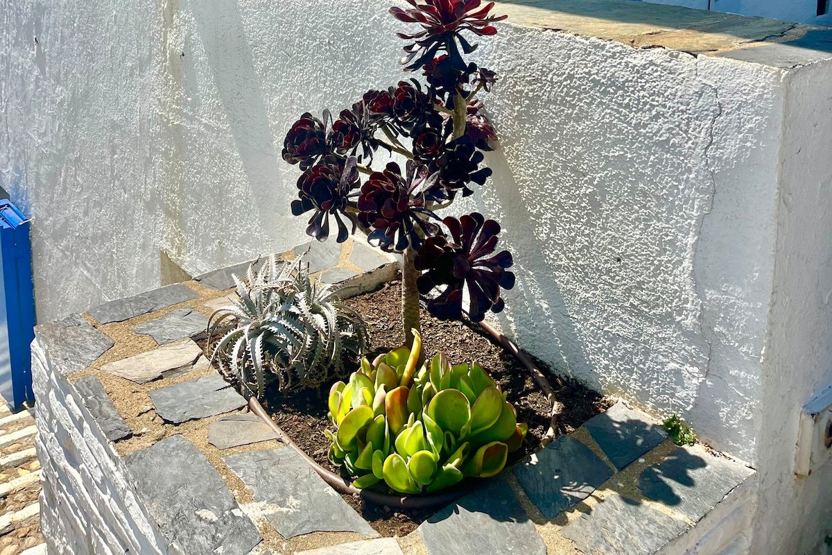 Espectacular casa frente al mar gallery image 3