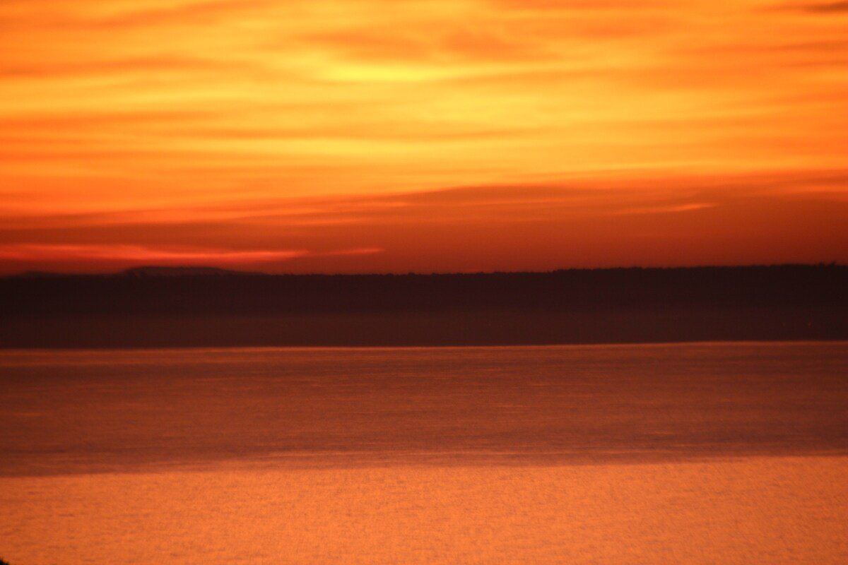 Villa Clausen – Pool Villa – Portals gallery image 4