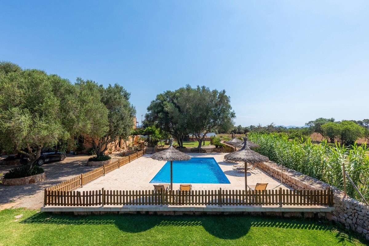 Xaloc gallery image 4