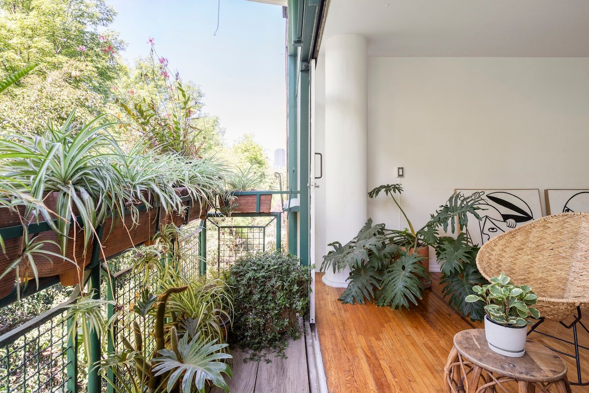 Sunny on Amsterdam, Condesa w/ Parque Mexico views gallery image 4