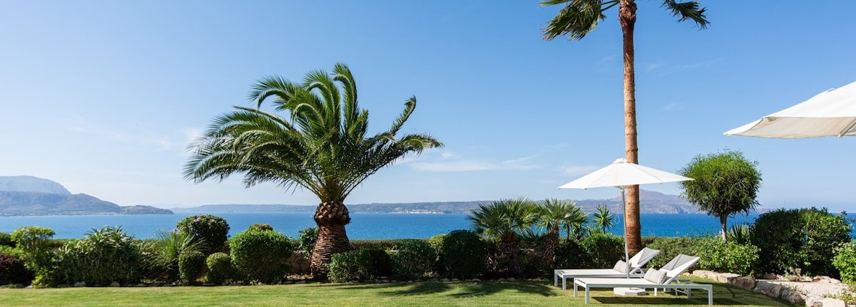 SALACIA gallery image 4