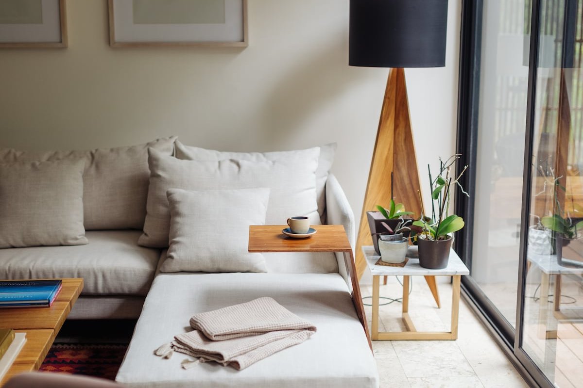 Hidden Gem Terrace in the Heart of Condesa gallery image 5