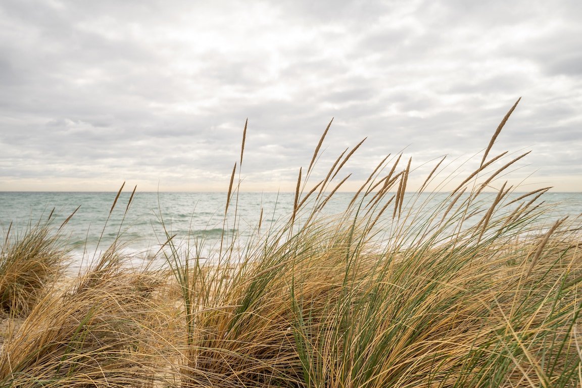 La via del Mare – Beachfront Bliss in Dromana gallery image 3