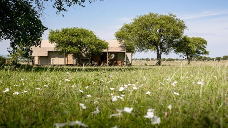 Singita Sabora Tented Camp Tents