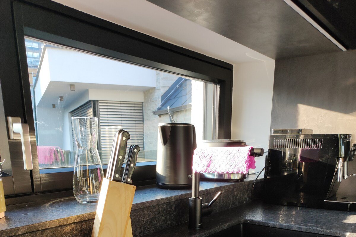 Penthouse Blick UNO und Kaiserw. gallery image 4