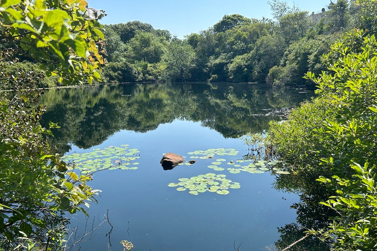 Windjammer | Luxury 5BR w/ AC gallery image 5