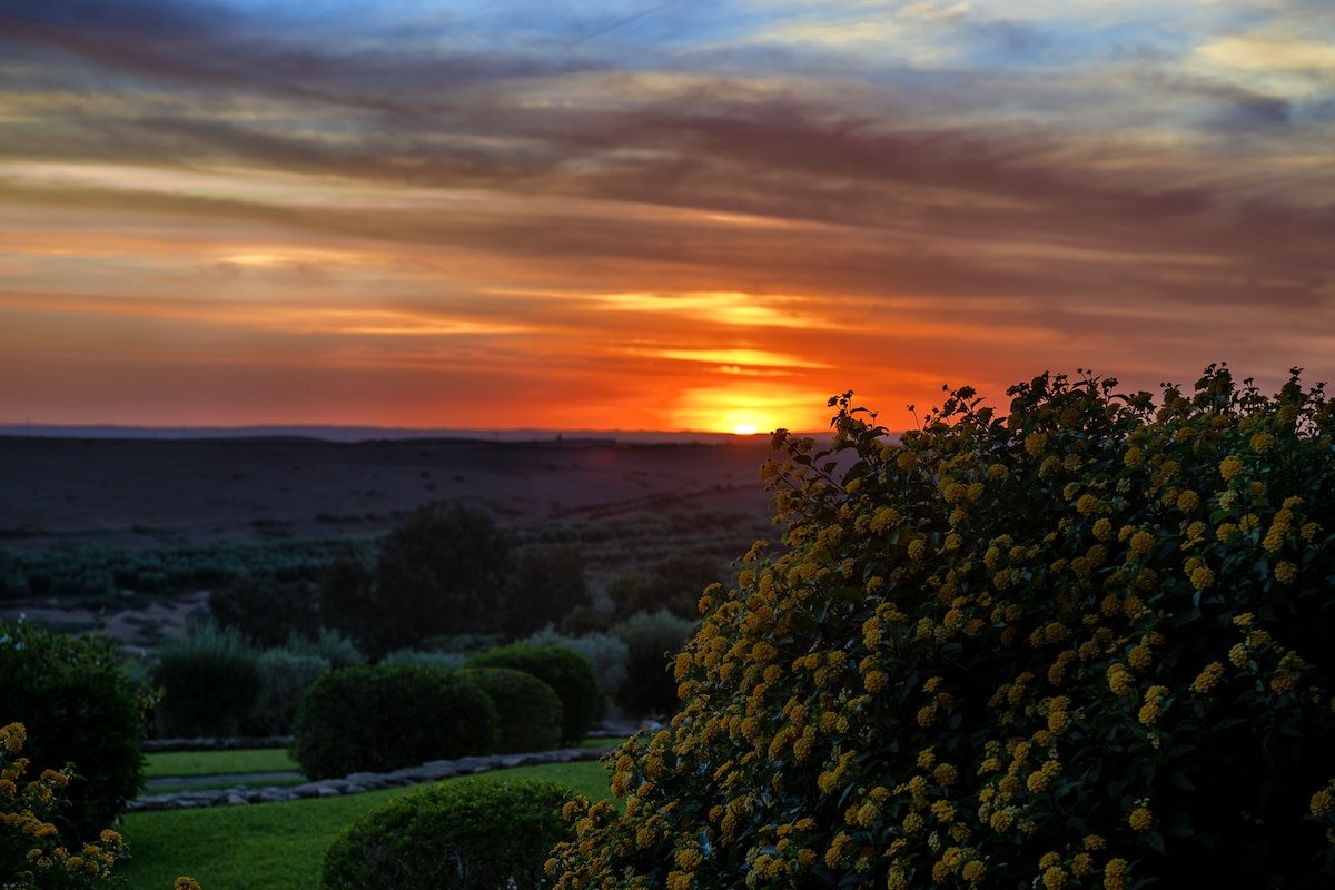 Le Palais Paysan gallery image 4