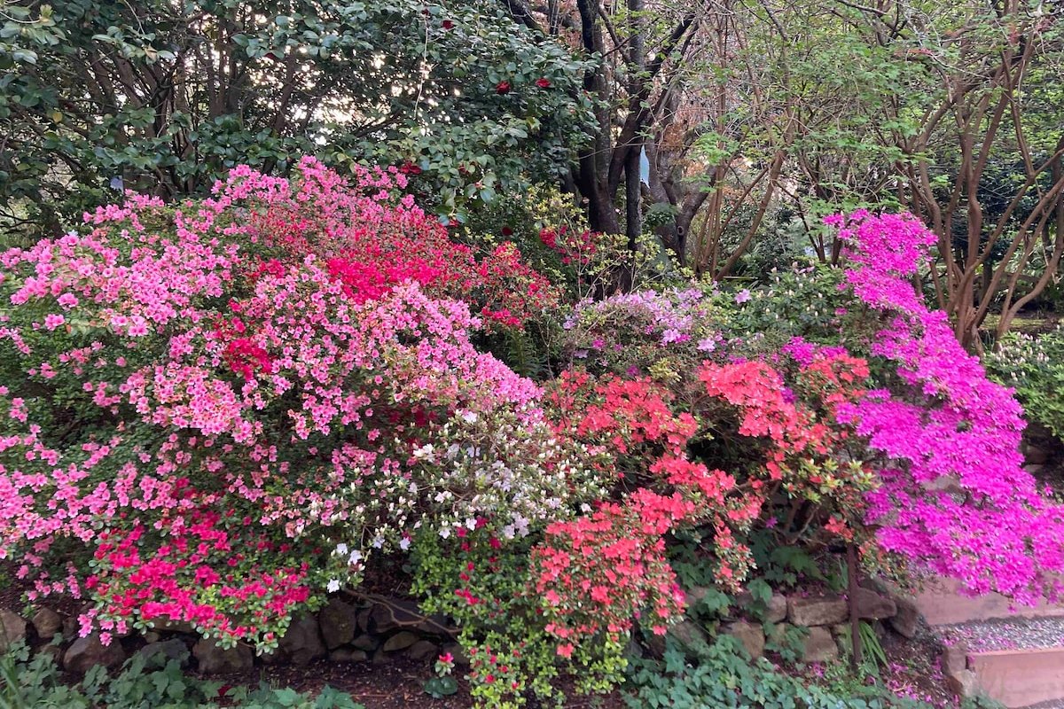 Secluded Villa with Lush Gardens, Spa & Fireplace gallery image 5