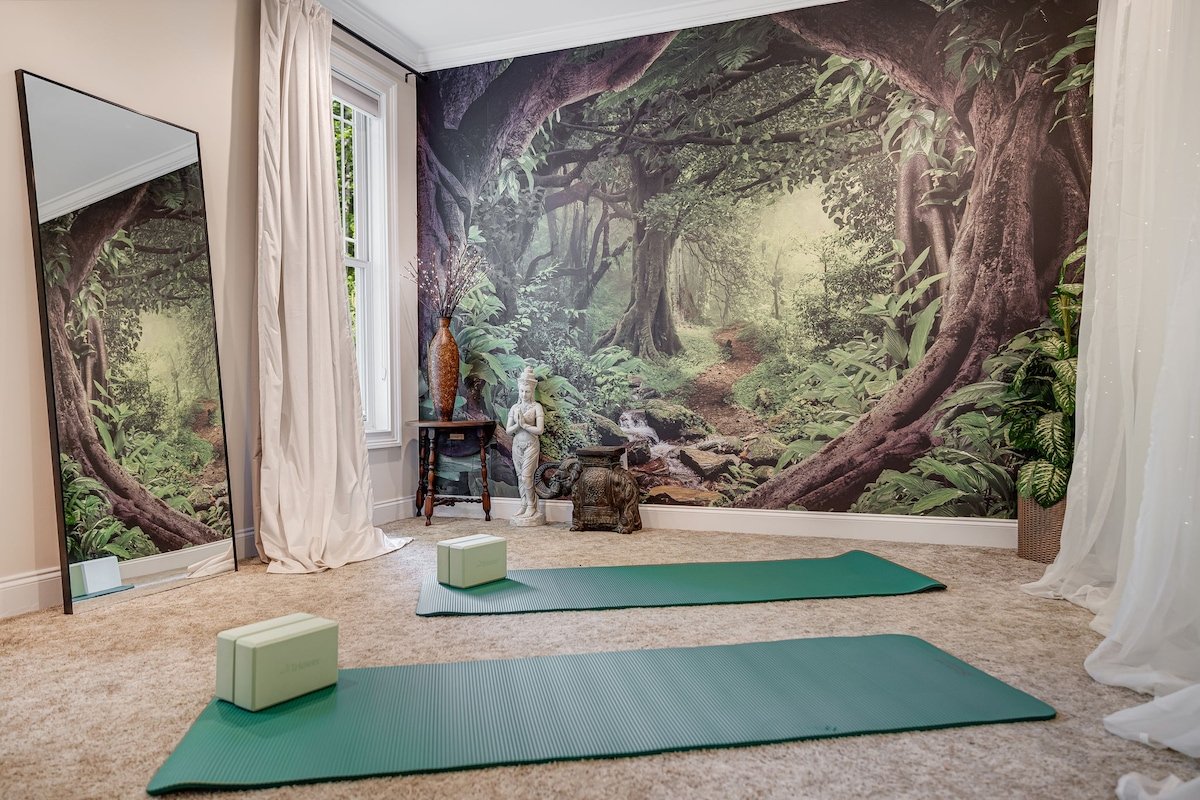 Min to DNTN, Biltmore-HTub-Theatre-Game Rm-Yoga gallery image 5