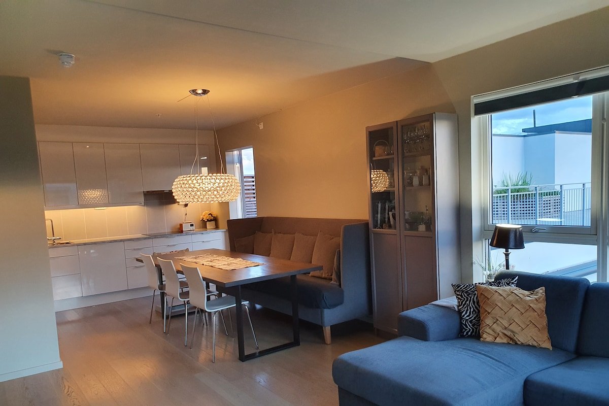 Penthouse (123 sqm + 50 sqm private terraces) gallery image 4