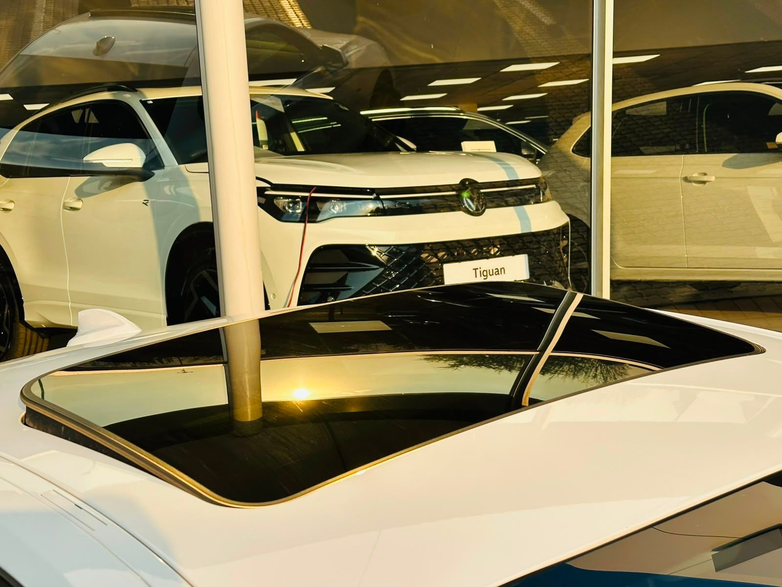 Used car gallery
