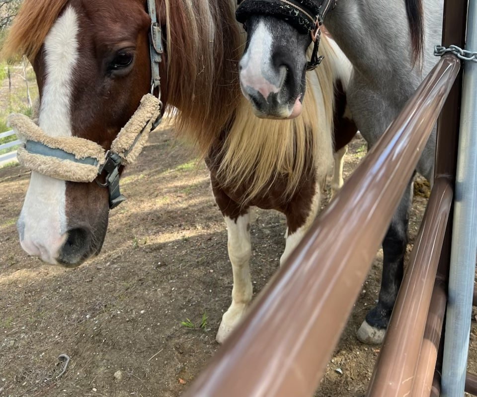 Ocean Views! Pool NEW 2/2 Malibu House Parking gallery image 2