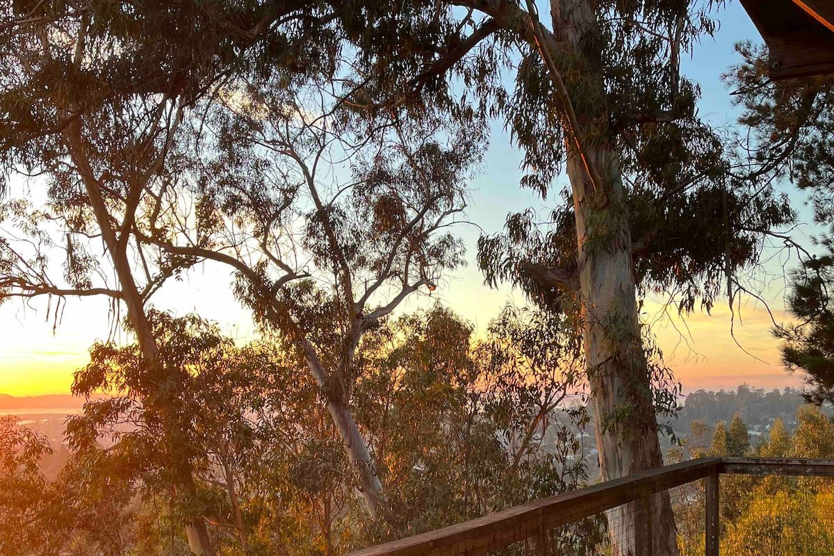 Relaxing Retreat: 3 Bedroom Overlooking the Bay gallery image 3