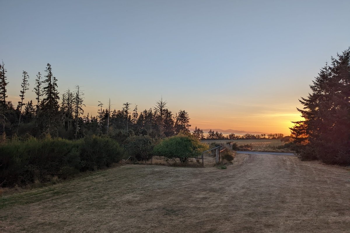 Beautiful beachfront Villa on 80 acres of farmland gallery image 4