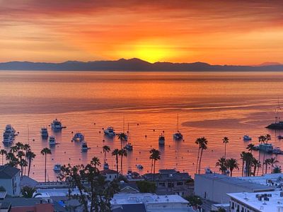 Eagle’s Nest | Voted Best Panoramic View in Avalon