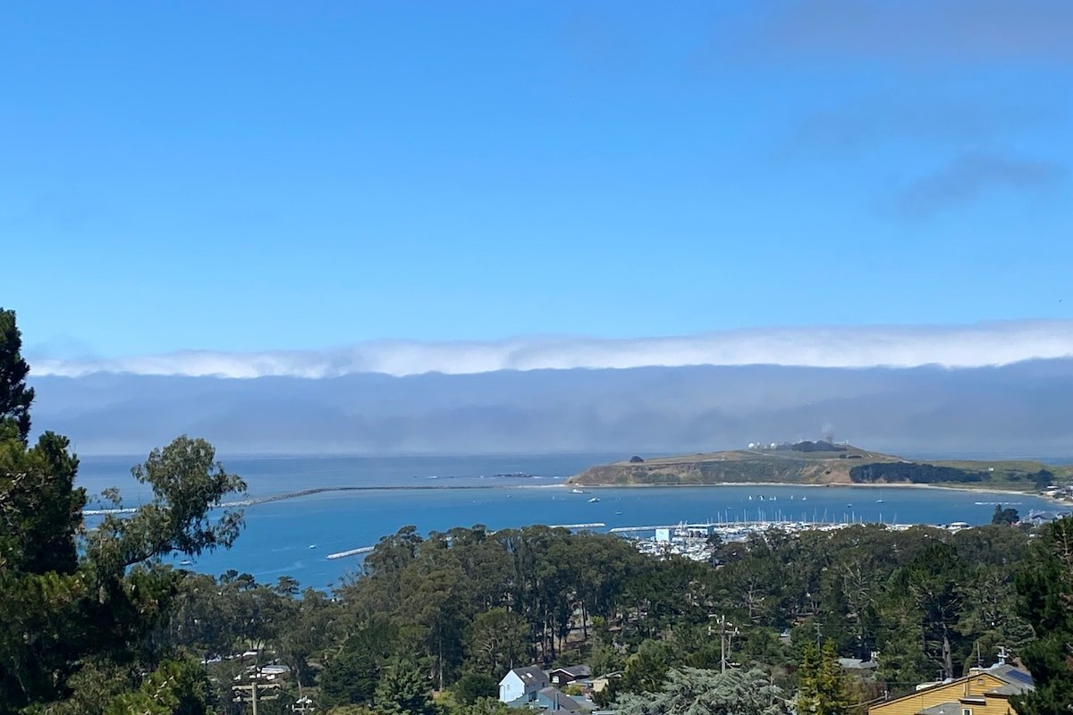 Serene Getaway in El Granada area of Half Moon Bay gallery image 2