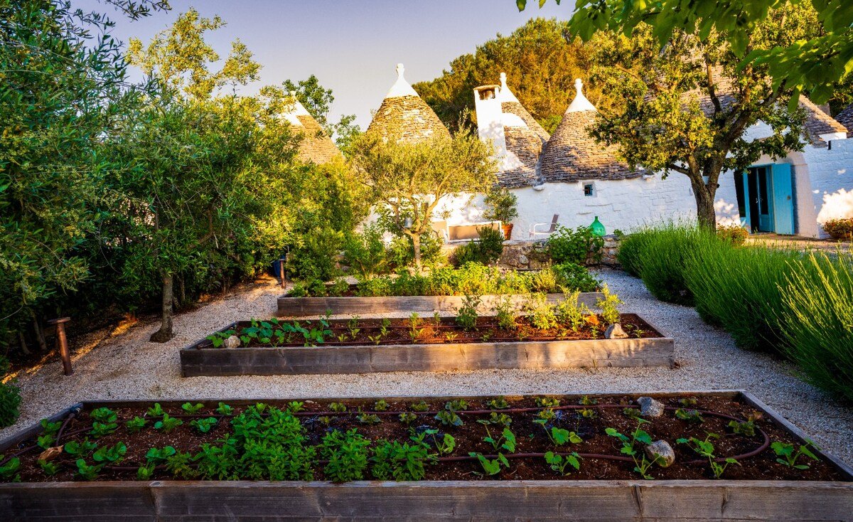 Charming Trullo with private pool and SPA pool gallery image 4