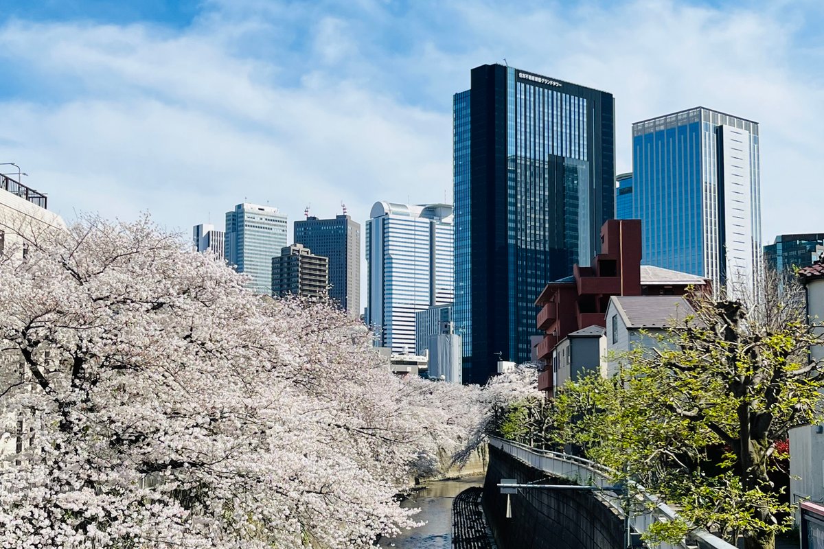 《花苑》2分钟即达新宿／新房8⃣️折【新宿稀有一线河景樱花高端独栋别墅】宽敞舒适／新宿&涩谷都心商圈