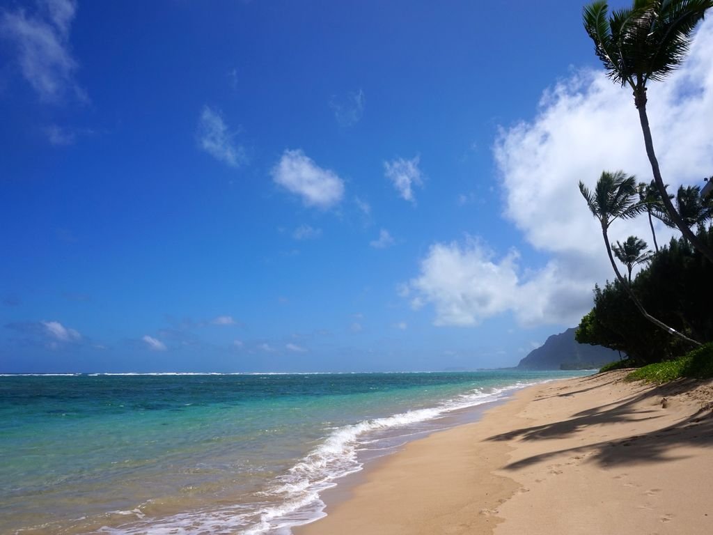 “Epic Ocean Views!” 3 bed 2 bath beachfront condo!