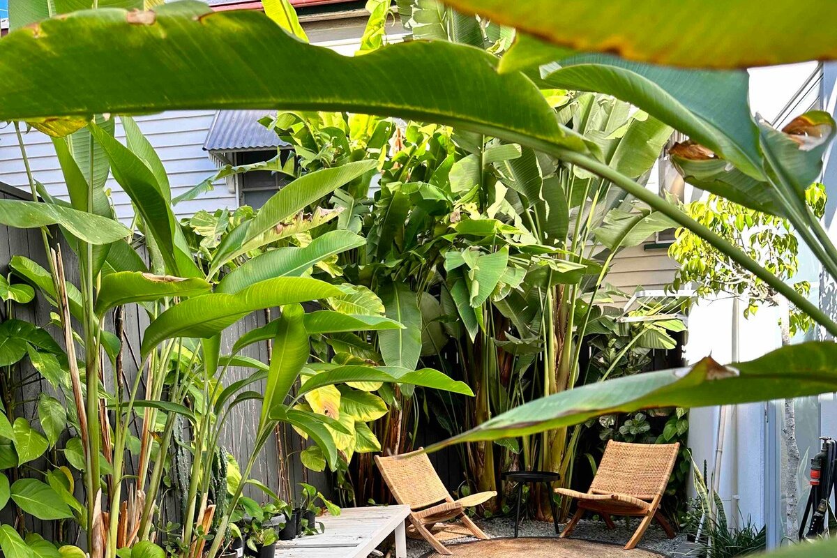 Luxury gallery home stay, Hamilton / ascot gallery image 4