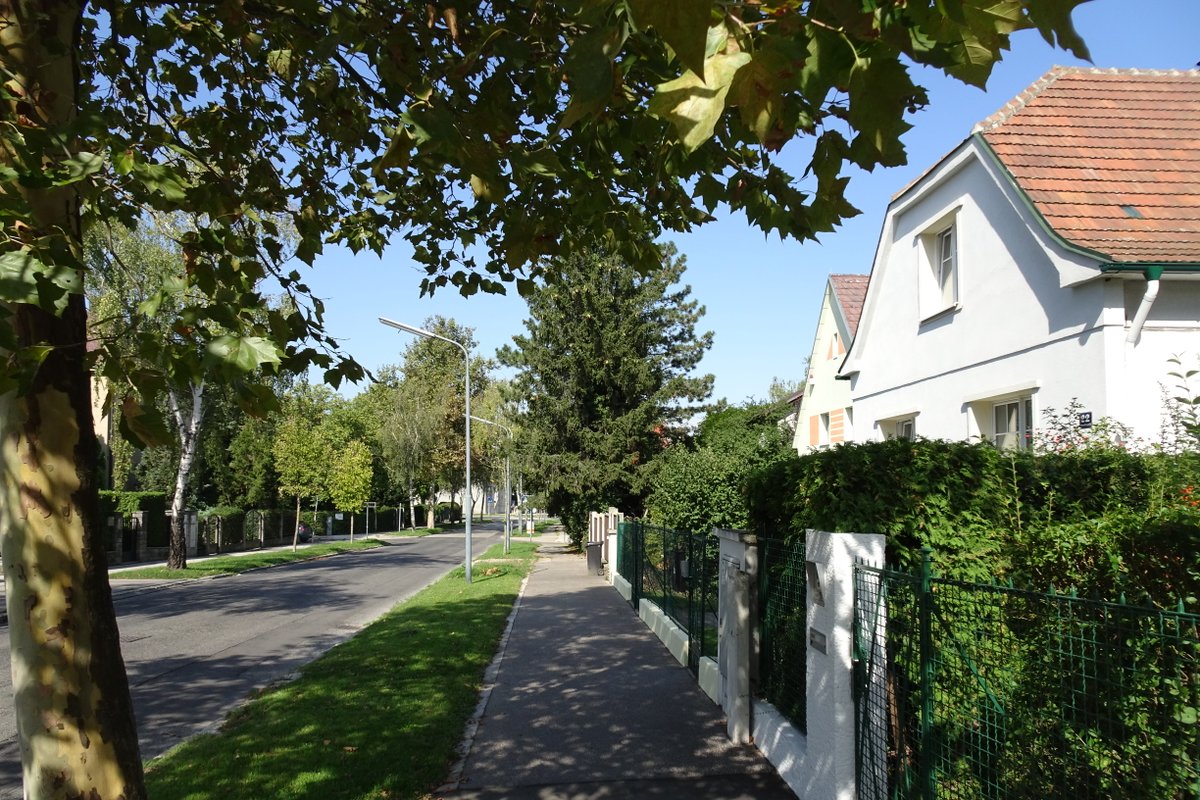 Villa for You! Superb Residential Area