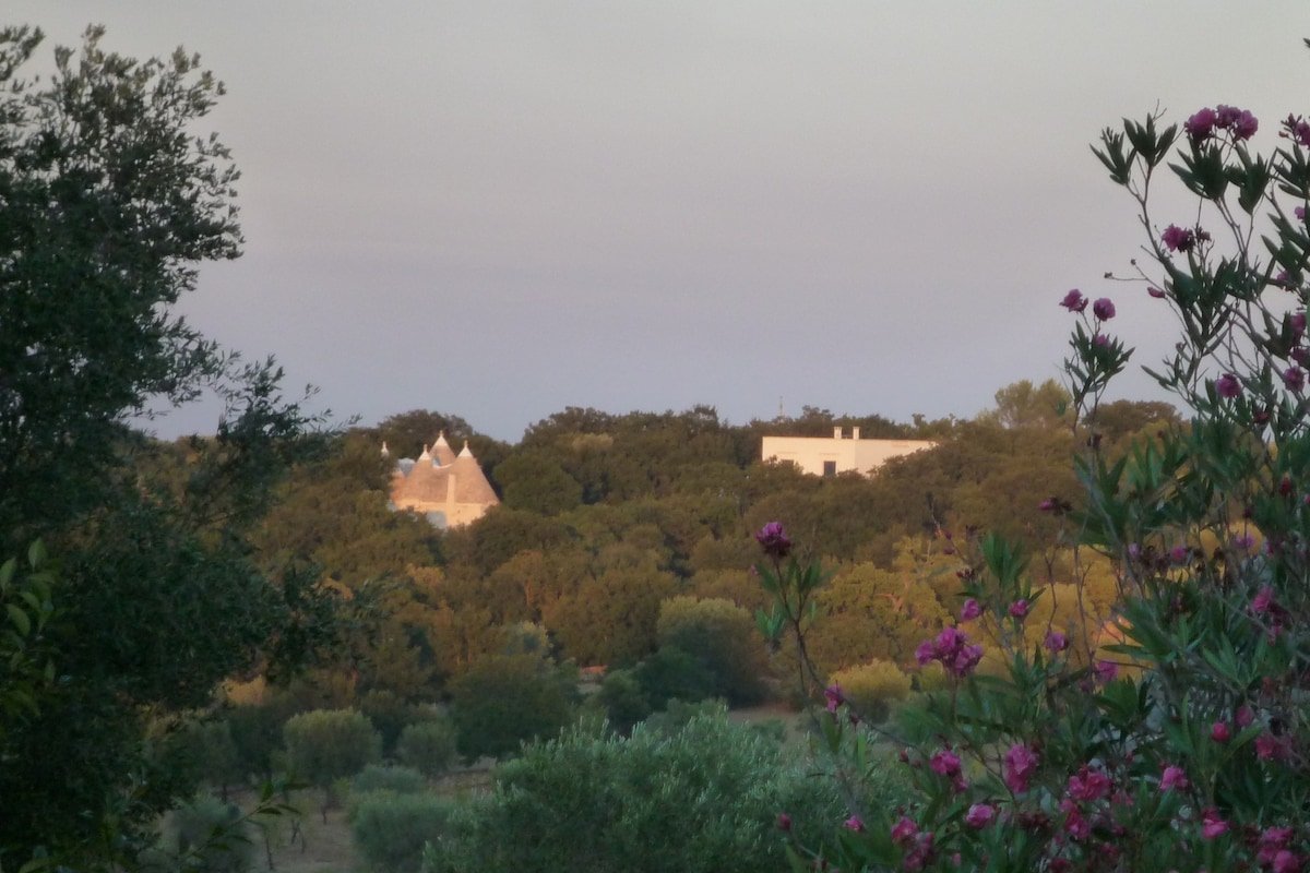 Trulli nel verde with pool gallery image 5