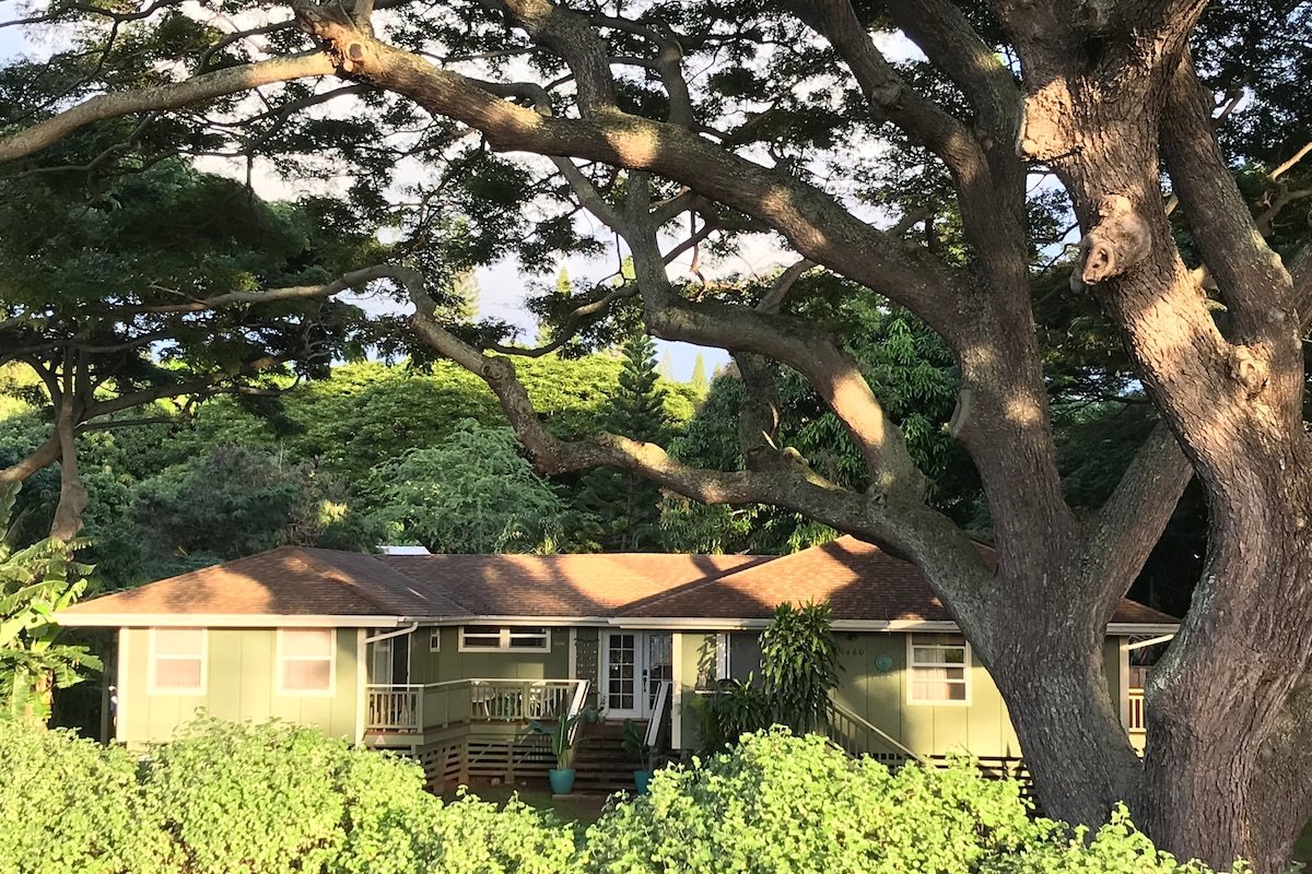 Napili Hale, Kama’aina Beach House gallery image 2