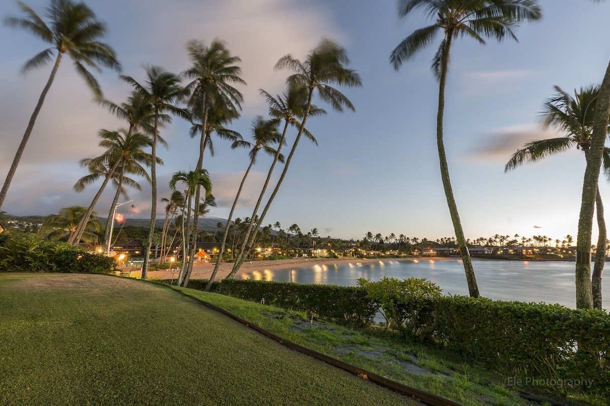 Napili Lani 320 — Beach Lovers’ Paradise gallery image 2
