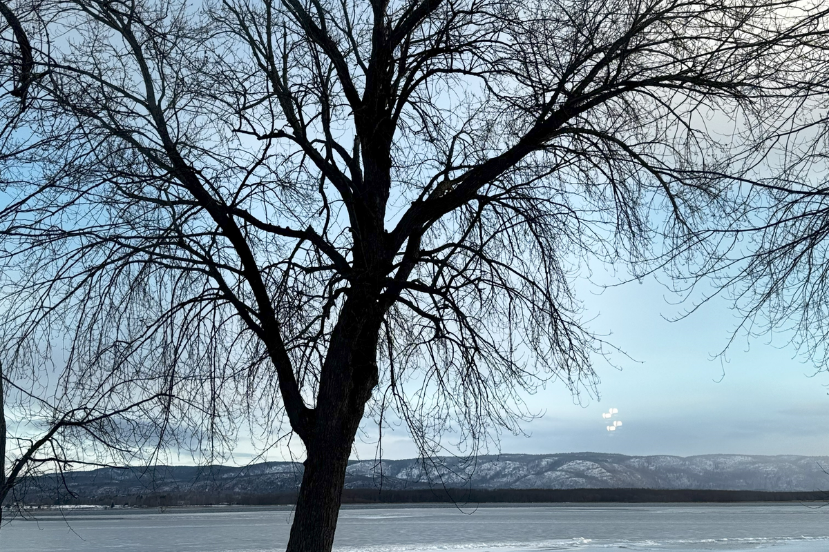 Luxurious Waterfront house on Ottawa River