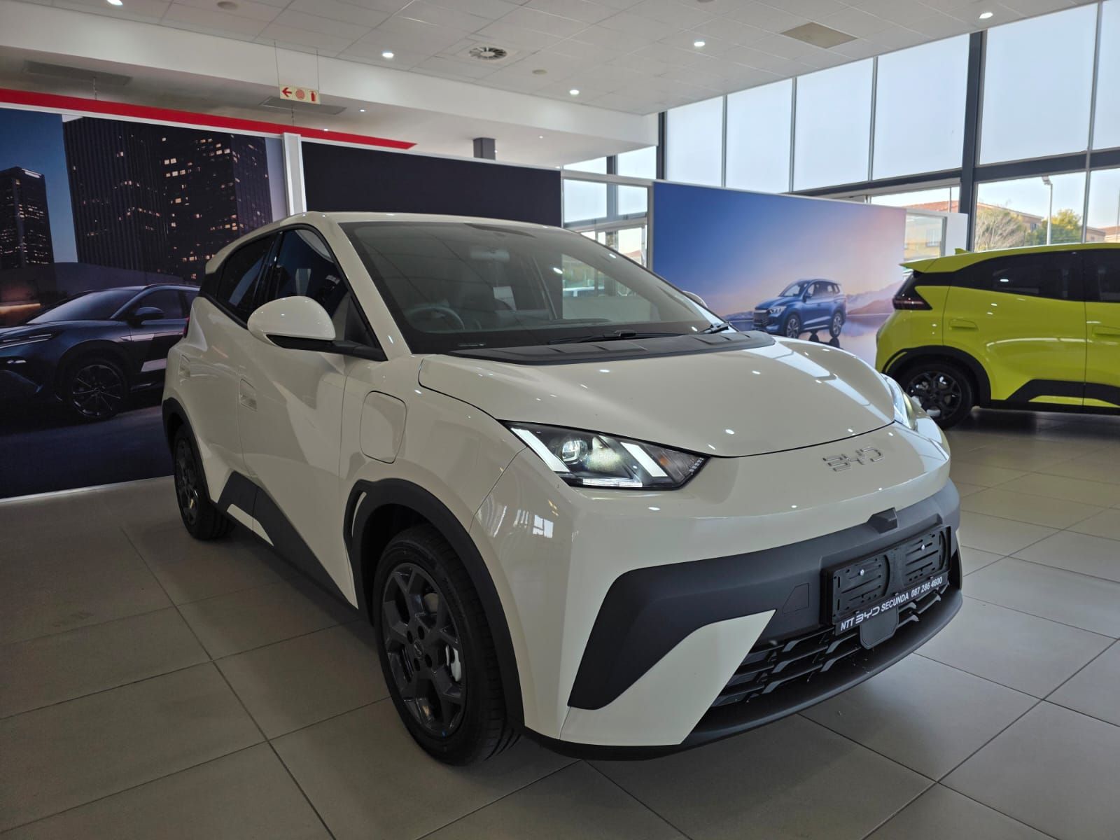 BYD DOLPHIN SURF DYNAMIC for Sale in South Africa