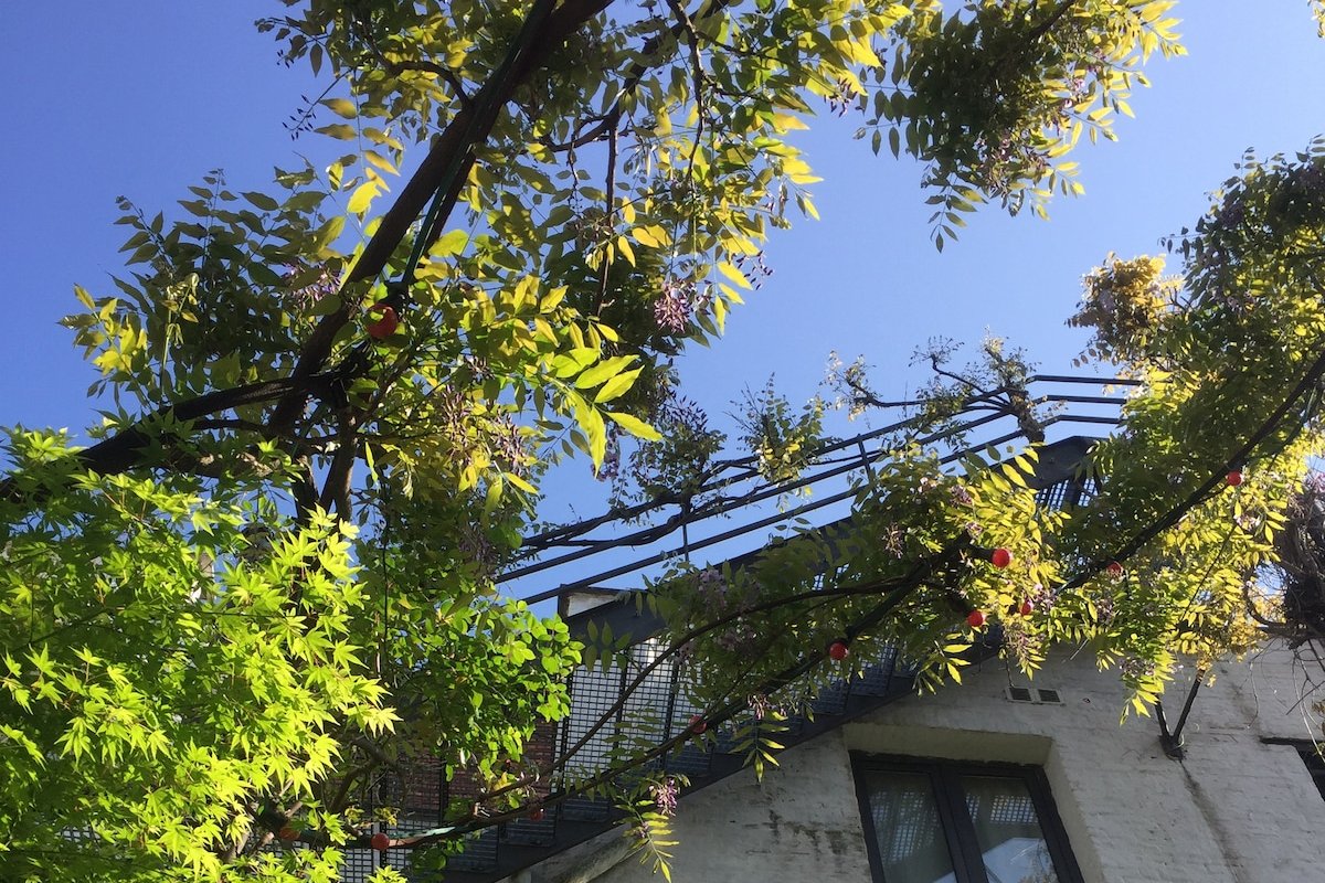 CASA SAGA – Huis gallery image 3