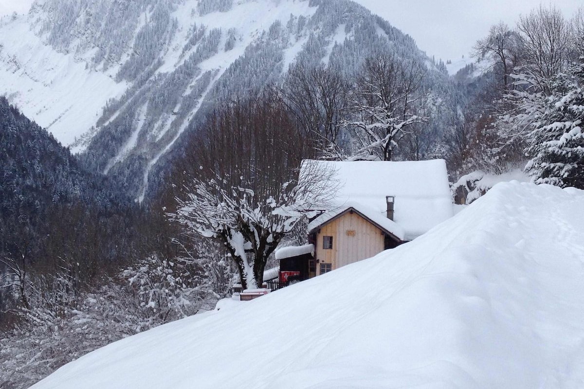 Heidi Chalet – Panoramic View – Modern Part gallery image 2