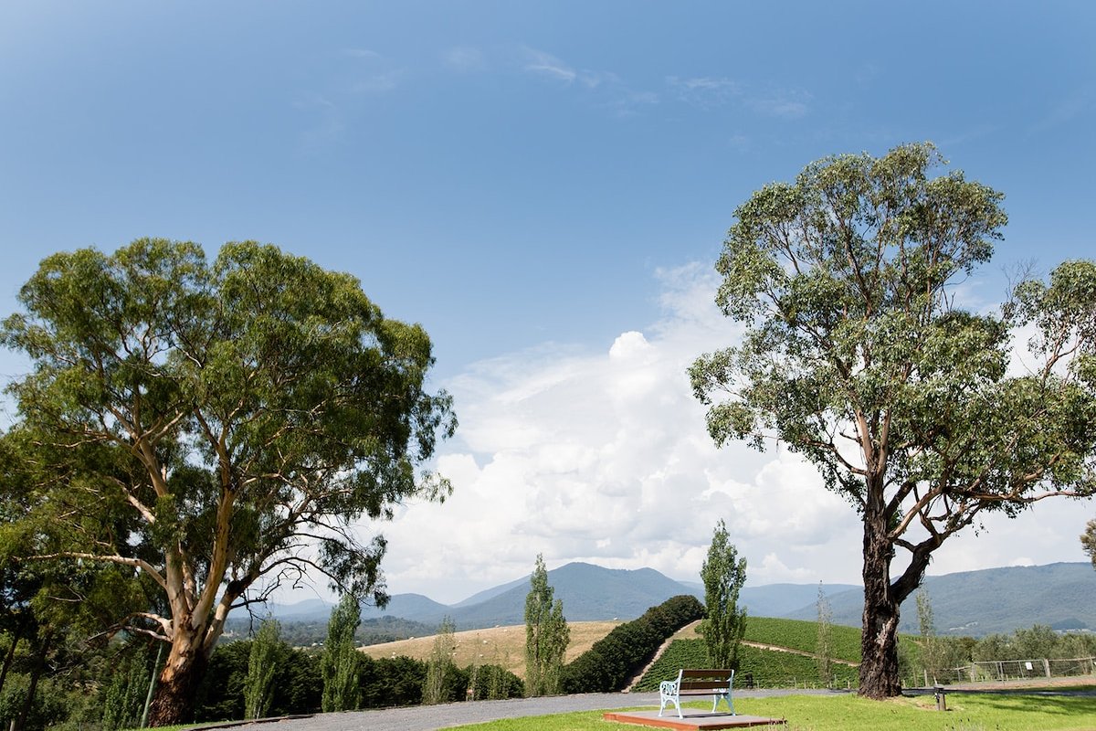 Villa Sophia gallery image 3