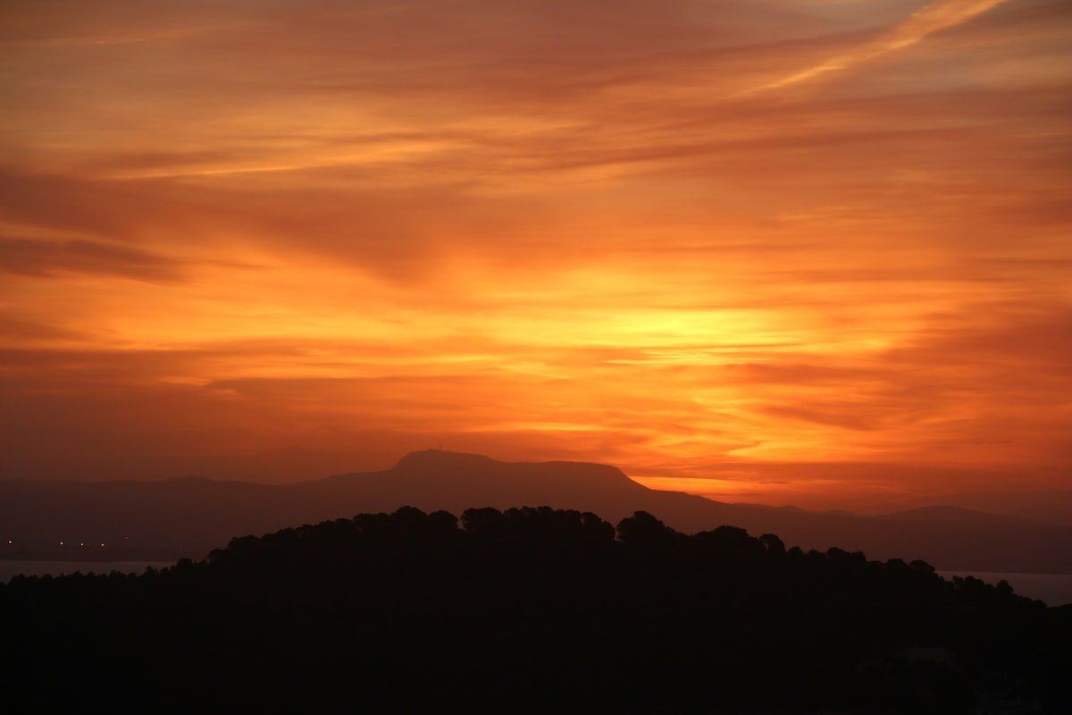 Villa Clausen – Pool Villa – Portals gallery image 3