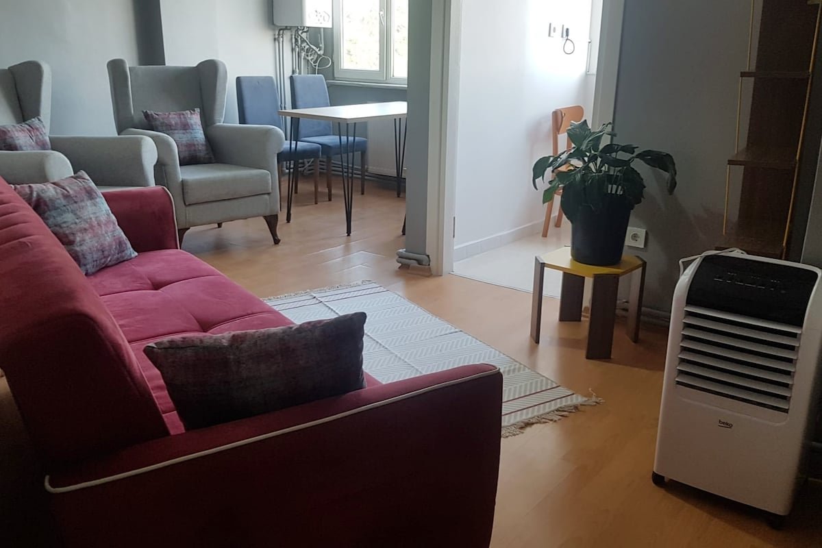 Müge and Nebi Istanbul Apartment 2 gallery image 3